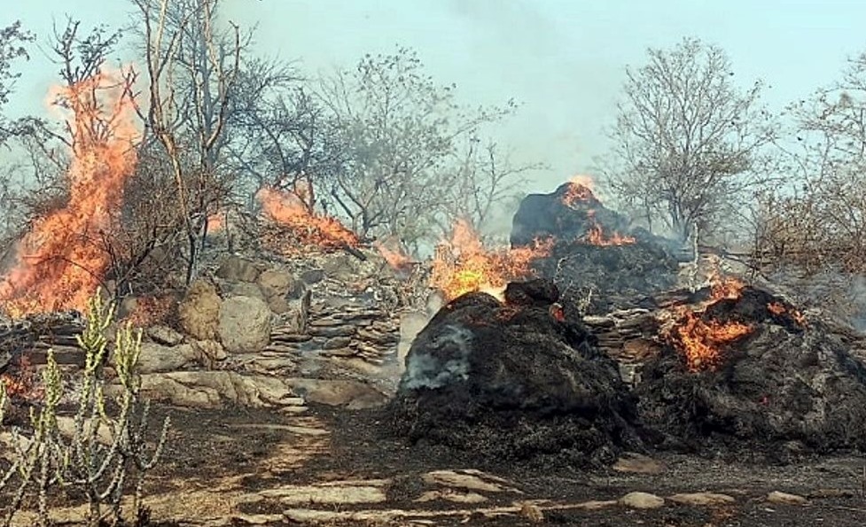 Rajasthan : उसरवास गांव में आग से चारा व लकड़ी जली