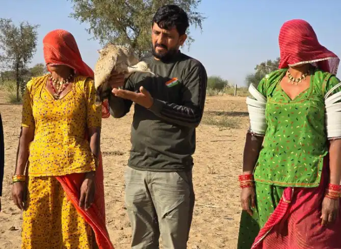 Rajasthan News: बाड़मेर में ग्रीनमैन नरपतसिंह ने तिलोर का उपचार कर स्वतंत्र छोडा