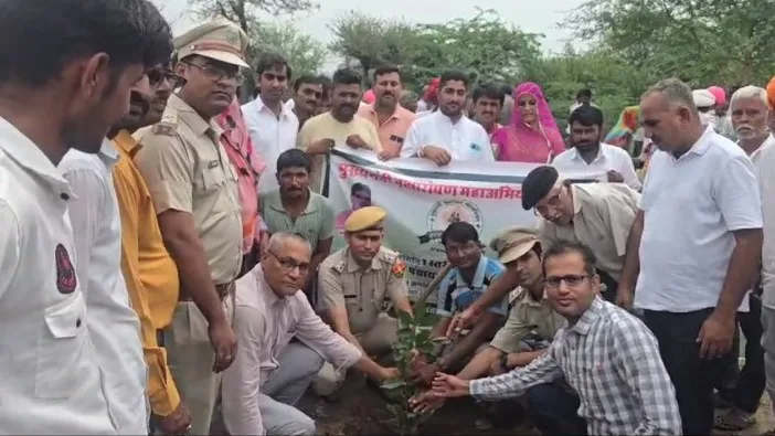 Desuri पंचायत समिति की केसुली ग्राम पंचायत में वृक्षारोपण कार्यक्रम आयोजित