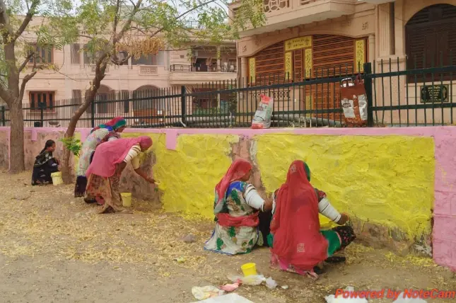 मुख्यमंत्री शहरी रोजगार गारंटी योजना बनी बेरोजगारों का सहारा