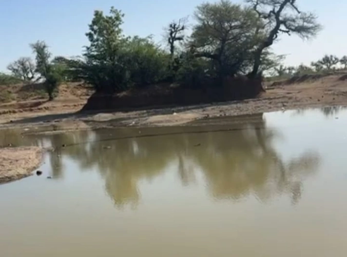 जामोतरा में पशु पक्षियों के लिए भरवाया तालाब