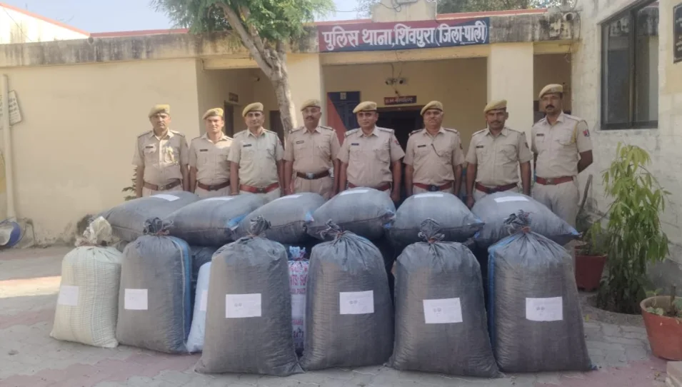 सोजत में 510 किलो डोडा पोस्त बरामद, तस्कर की तलाश जारी