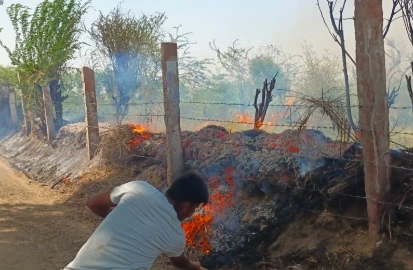 300 फीट बाड़ जलकर राख