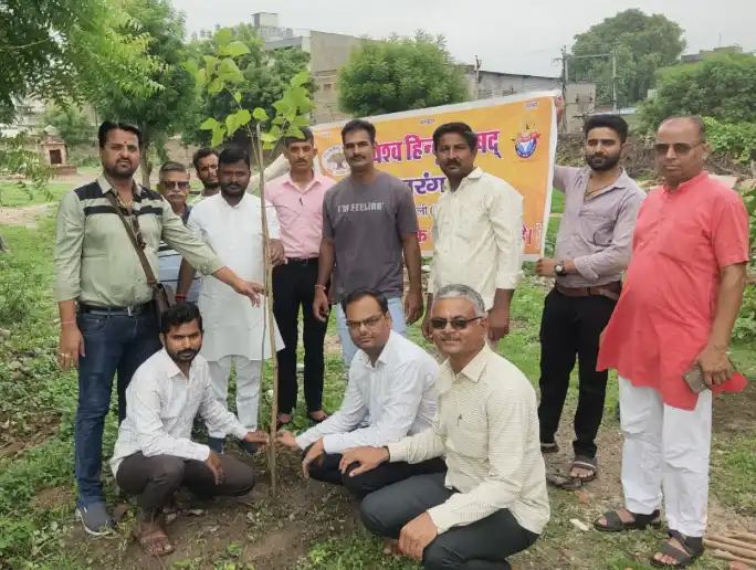Pali: बजरंग दल सेवा सप्ताह के तहत दो स्थानों पर वृक्षारोपण, पर्यावरण संरक्षण का दिया संदेश