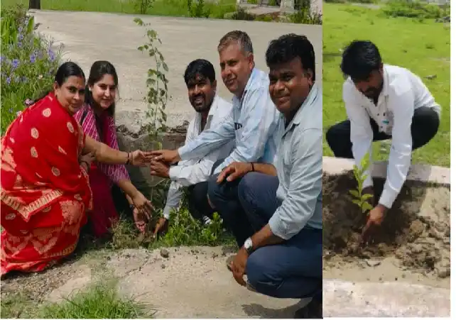 ईटमारिया ग्राम पंचायत मे एक पेड़ मां के नाम महा अभियान का हुआ शुभारंभ