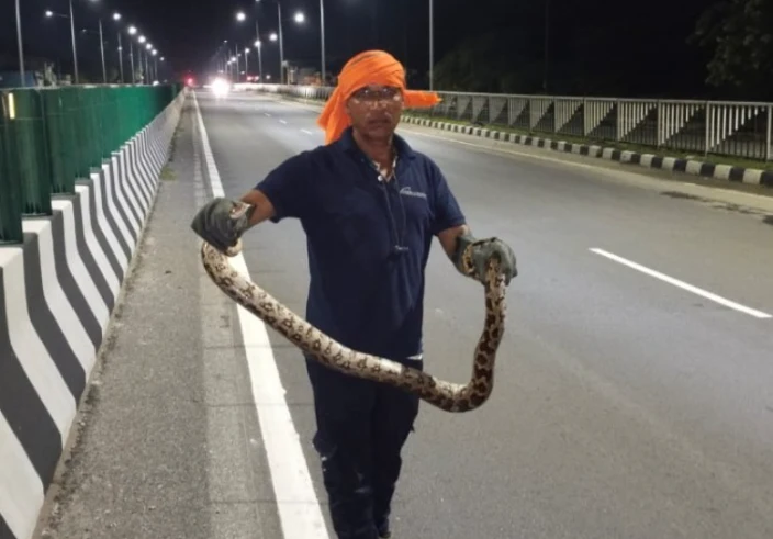 Rajsamand में रेस्क्यू टीम ने अजगर को सुरक्षित जंगल में छोड़ा