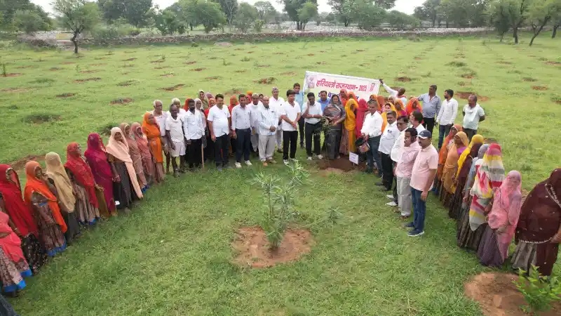 Rajsamand: खेडिया के चारागाह में कार्मिकों ने स्वयं के खर्च से लगाए 600 पौधे