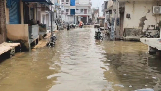 Pali : तेज बारिश से पाली की कॉलोनियां जलमग्न, नगर निगम जुटा राहत कार्यों में