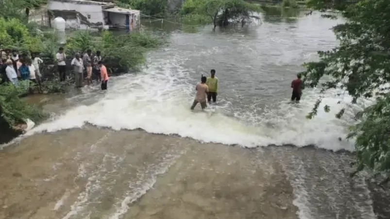 Pali: बारिश के बाद बांडी नदी और लखोटिया चादर में मछली पकड़ने की होड़, लापरवाही में झांकती जोखिम की तस्वीरें