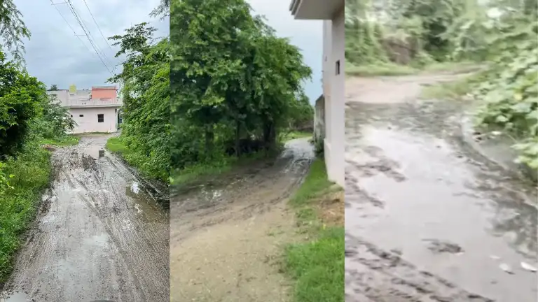 Rajsamand: दो साल में ही ध्वस्त हुई सड़क, ग्रामीणों ने जताई नाराजगी