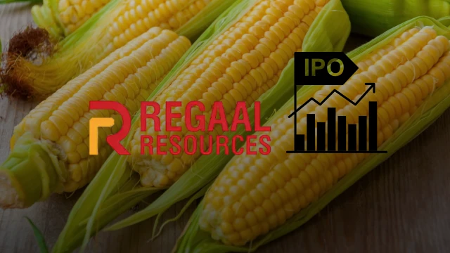 Regaal Resources Limited का IPO मंगलवार, 12 अगस्त 2025 कोखुलेगा, प्राइसबैंड ₹96/- से ₹102/- प्रतिशेयर