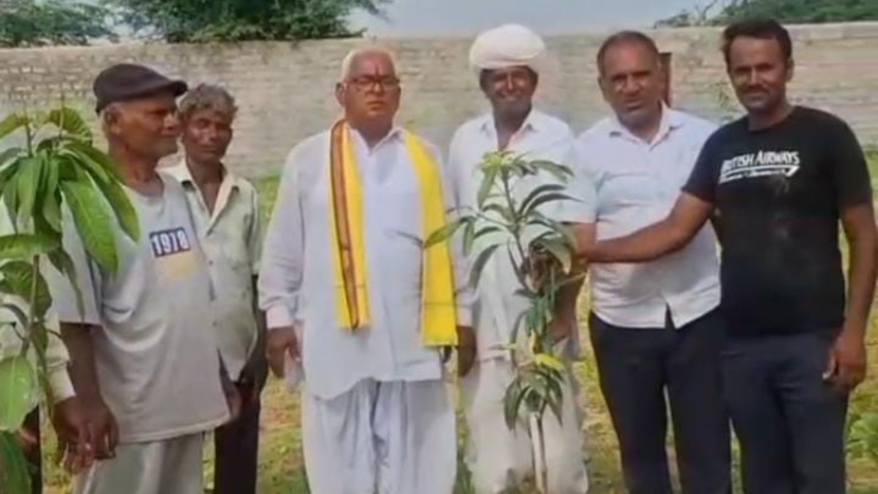 Sirohi: पेड़, पानी और परिंडे… बावली के इन युवाओं ने रच दिया जनसेवा का उदाहरण