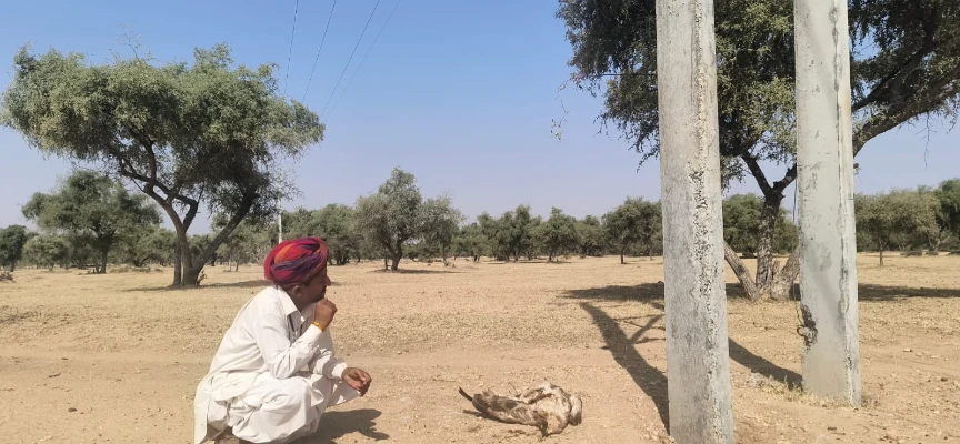 Jaisalmer : टोनी ईगल की हाईटेंशन लाइन के करंट से हुई दर्दनाक मौत 8 WhatsApp Image 2025 10 25 at 5 4