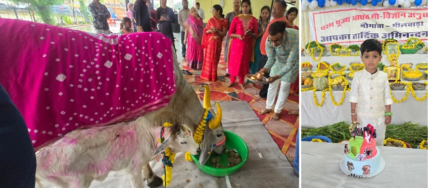 Bhilwara : गौ-भक्ति का अनूठा रंग, नन्हे नक्ष ने गौ माता को लगाया श्छप्पन भोग, सादगी से मनाया जन्मदिन 6 WhatsApp Image 2025 10 29 at 4 3