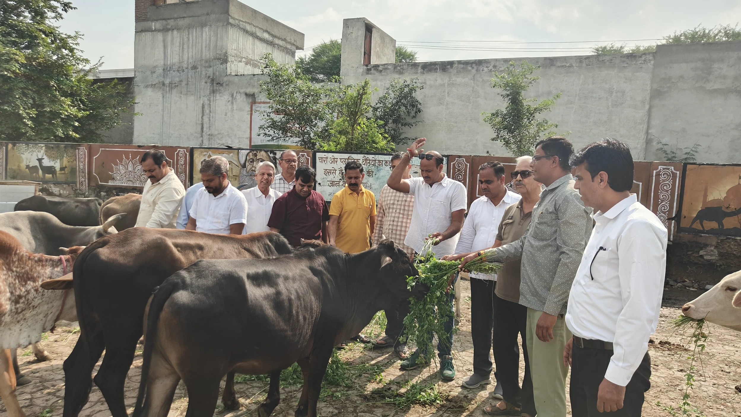 WhatsApp Image 2025 11 04 at 6 4